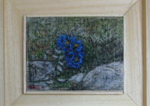 un tocco di azzurro (Odle) - creta su tela 20x15 cm
