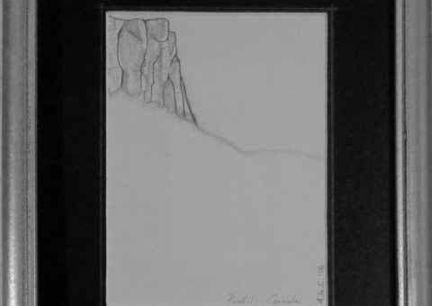 Profili: Carnola - carboncino su cartone 15x21 cm